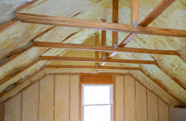 Best Eco-Friendly Insulation in Red Springs, NC