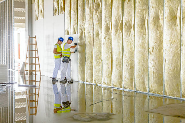 Best Geographic-Specific Insulation Services in Red Springs, NC